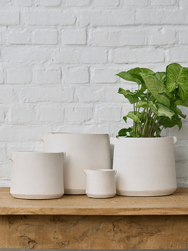 Кашпо Knob Large Orchidpot White