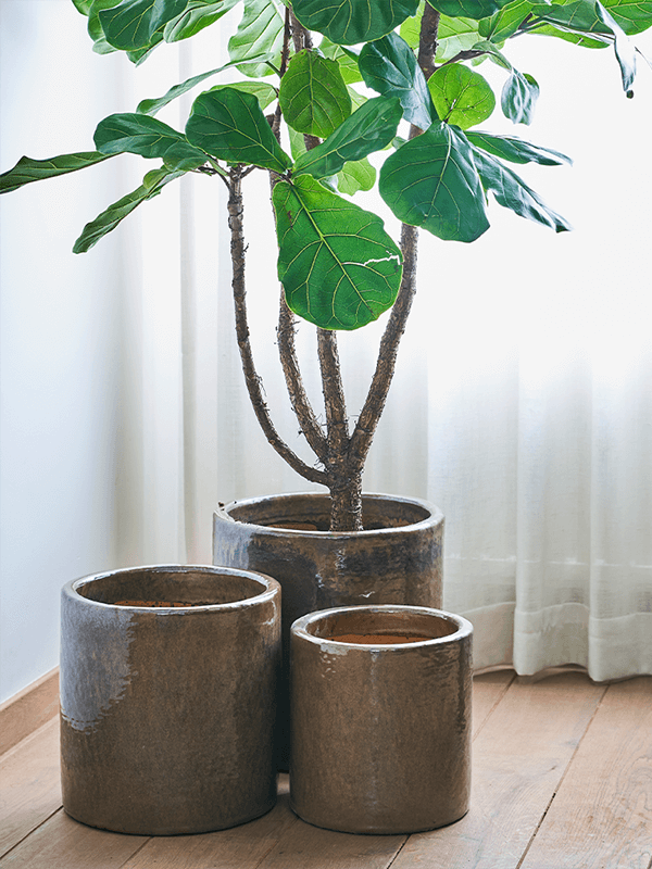 Кашпо Honest Large Orchidpot Kaki