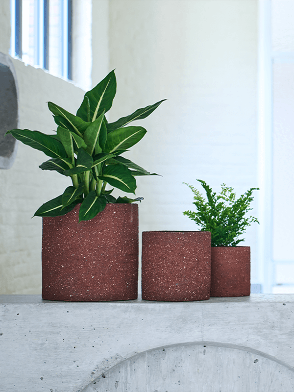 Кашпо Cicle Orchidpot Terracotta