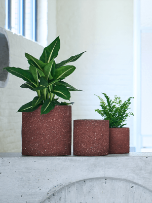 Кашпо Cicle Large Orchidpot Terracotta