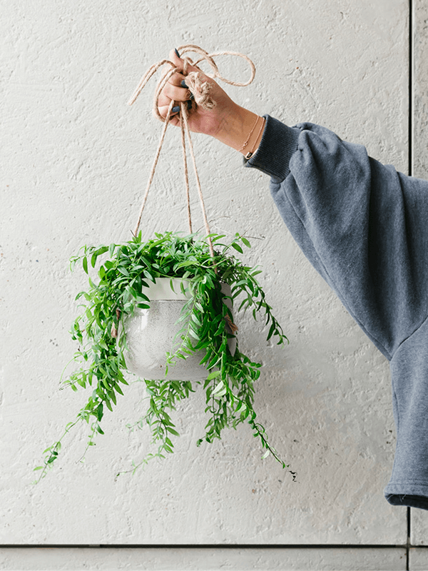 Кашпо подвесное Split Pot Hanging Grey