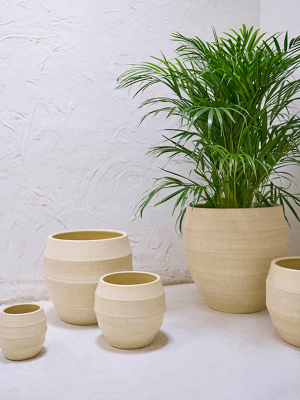 Кашпо Bamboo Orchidpot Butter