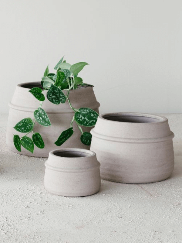 Кашпо Chive Orchidpot Silk