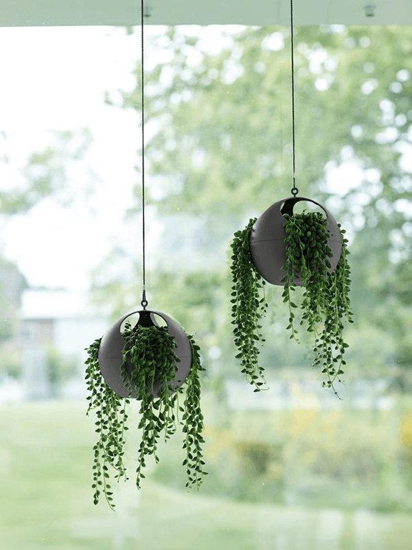 Кашпо подвесное B. For Soft Air Hanging Basket Anthracite