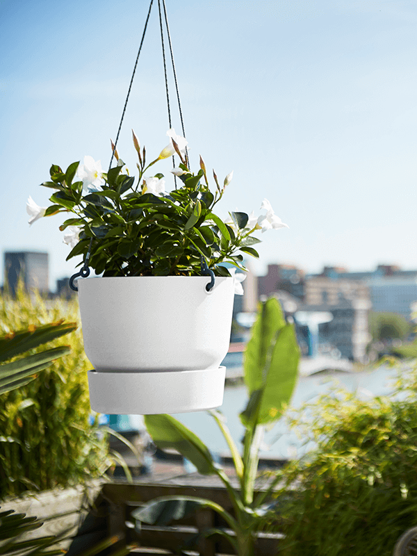 Кашпо подвесное Greenville Hanging Basket White