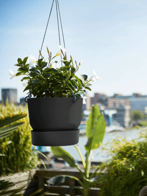 Кашпо подвесное Greenville Hanging Basket Living Black