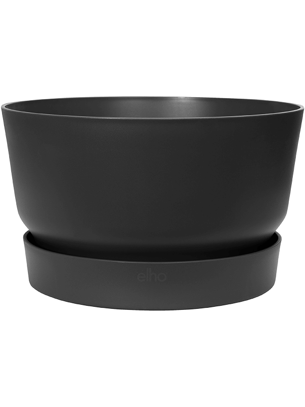 Кашпо Greenville Bowl Living Black