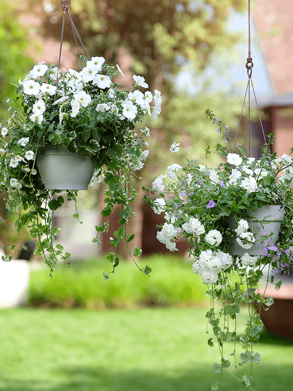 Кашпо подвесное Vibia Campana Hanging Basket Living Concrete