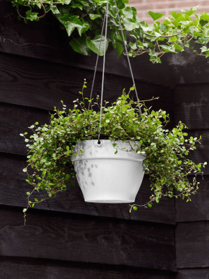 Кашпо подвесное Vibia Campana Hanging Basket White