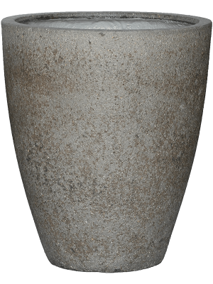 Антуриум ‘Арроу’ в кашпо Cement & Stone