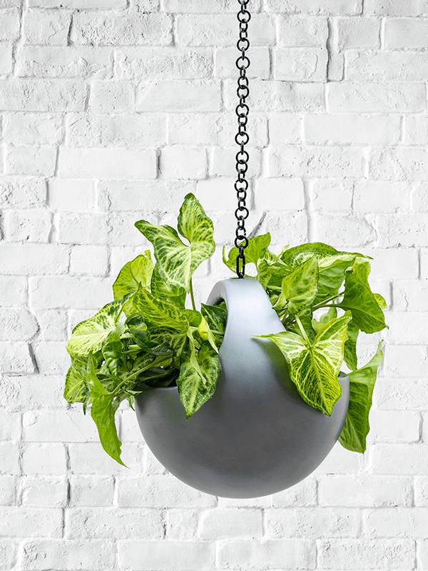 Кашпо подвесное Baq Gradient Hanging Basket Matt Grey