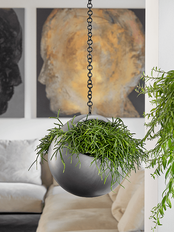 Кашпо подвесное Baq Gradient Hanging Basket Matt Grey