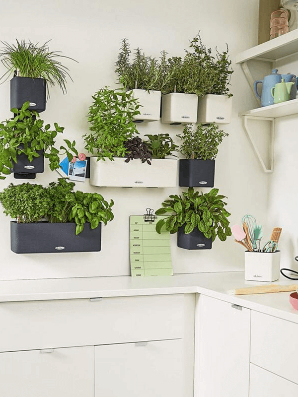 Кашпо Lechuza Cube Green Wall Home Kit Color белое