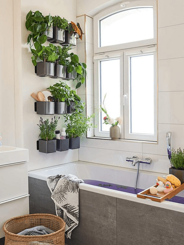 Кашпо Lechuza Cube Green Wall Home Kit Color антрацит глянцевое