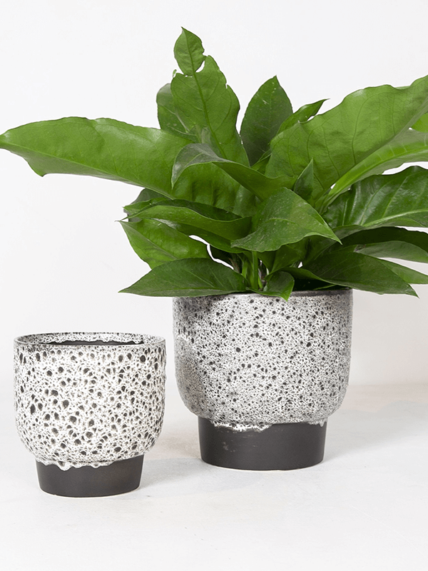 Кашпо Strut Pot on foot Reactive Brown/White