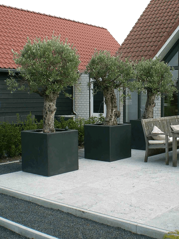 Кашпо Polycube Anthracite Square