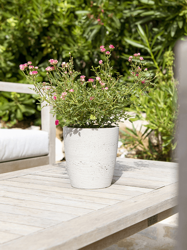 Кашпо Rough Gerben S Grey Washed Кашпо Rough Gerben S Grey Washed