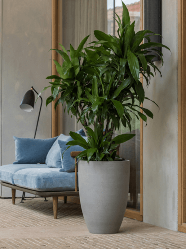 Кашпо Refined Ben XL Clouded Grey Кашпо Refined Ben XL Clouded Grey