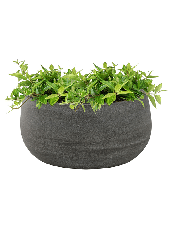 Кашпо Esra Bowl Mystic Grey