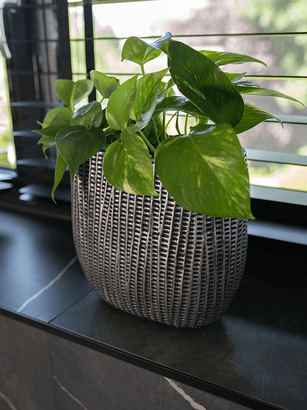 Кашпо Feico Planter Metal Black