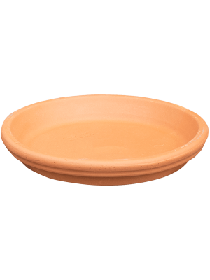 Поддон Terra Cotta Saucer