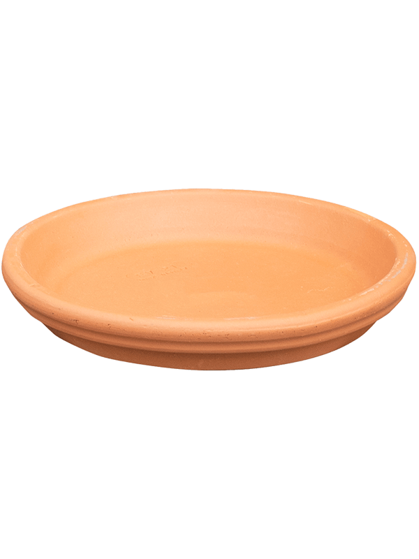 Поддон Terra Cotta Saucer