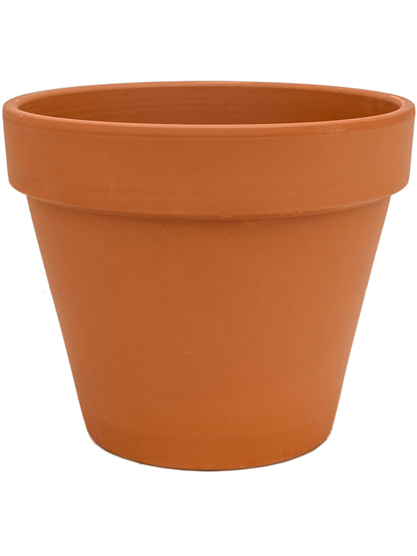 Кашпо Terra Cotta Flowerpot