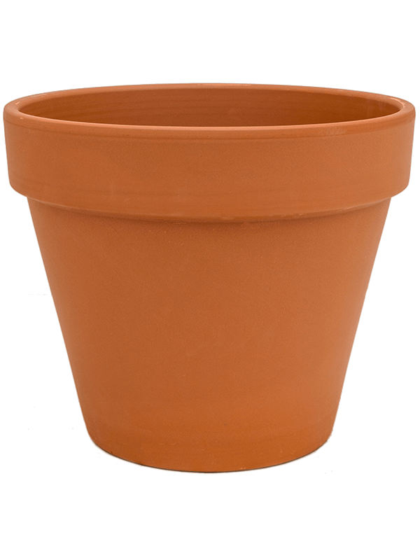 Кашпо Terra Cotta Flowerpot