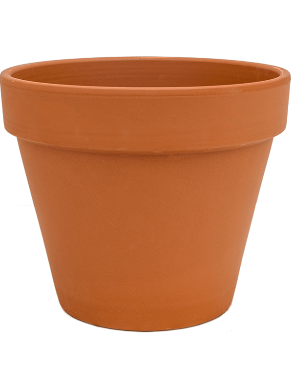 Кашпо Terra Cotta Flowerpot