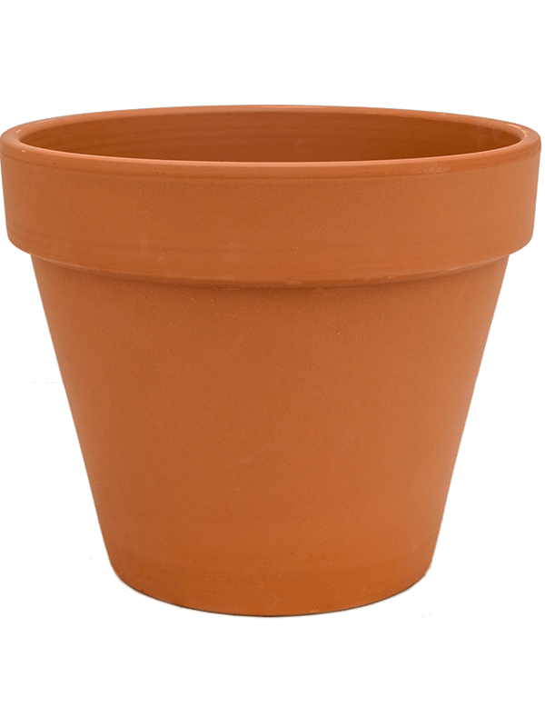 Кашпо Terra Cotta Flowerpot