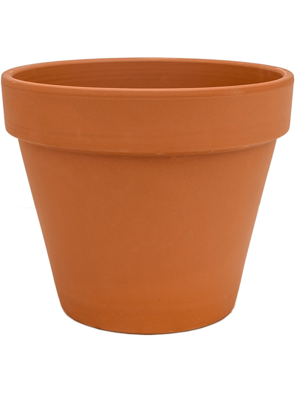 Кашпо Terra Cotta Flowerpot