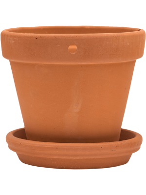 Кашпо настенное с поддоном Terra Cotta Wall Pot With Saucer