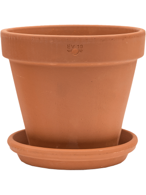 Кашпо настенное с поддоном Terra Cotta Wall Pot With Saucer