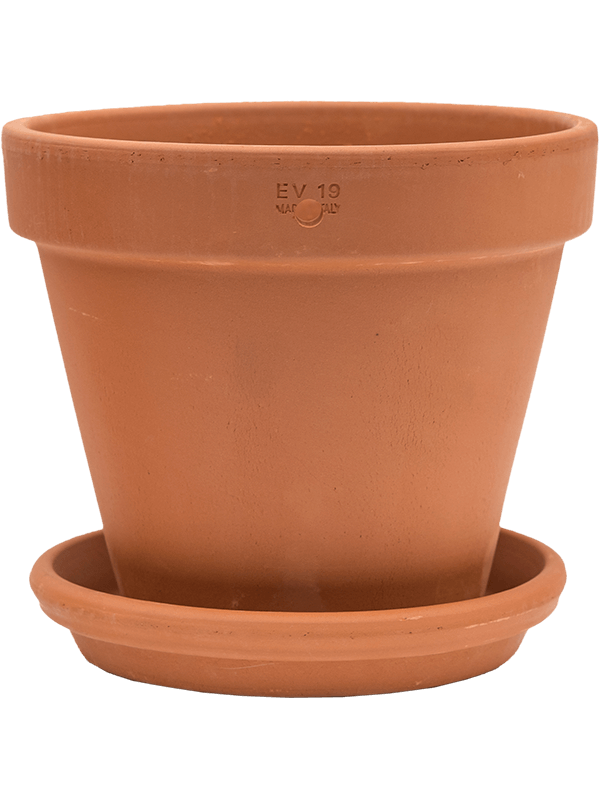 Кашпо настенное с поддоном Terra Cotta Wall Pot With Saucer