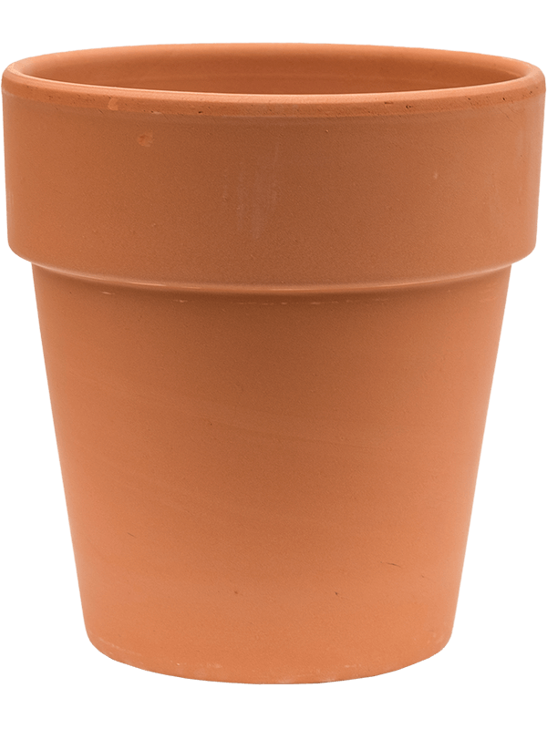 Кашпо Terra Cotta Flowerpot