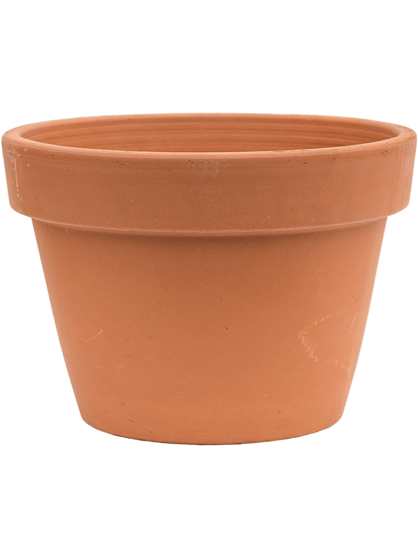 Кашпо Terra Cotta Flowerpot