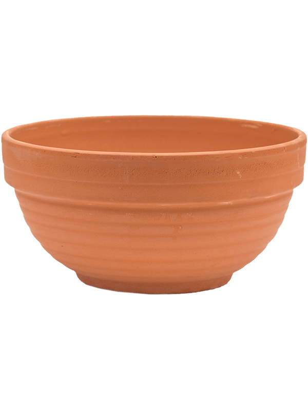 Кашпо Terra Cotta Bowl