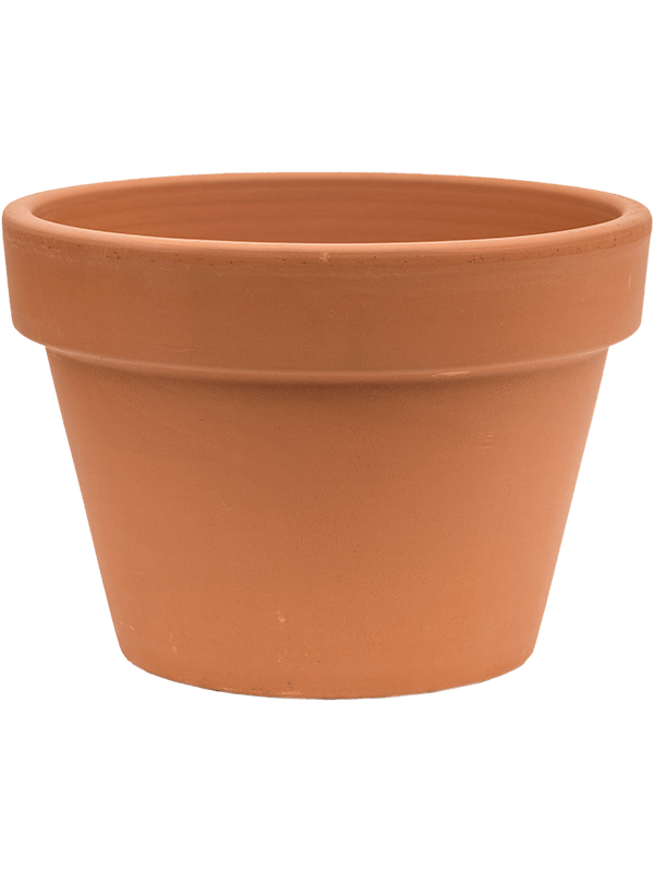 Кашпо Terra Cotta Flowerpot