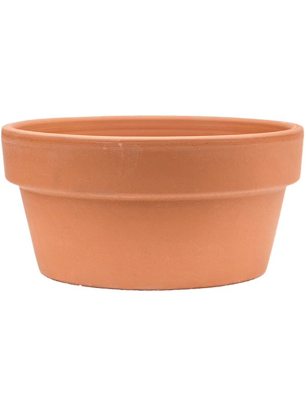 Кашпо Terra Cotta Bowl