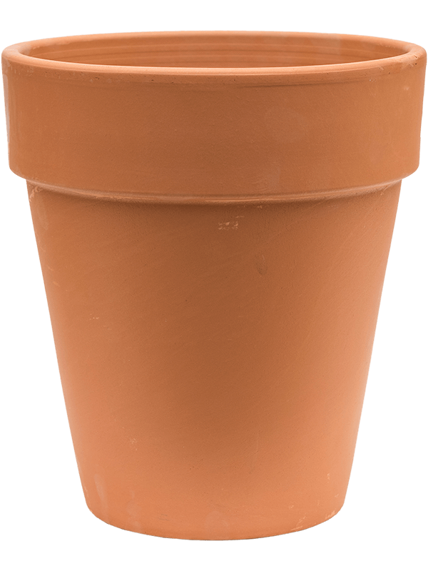 Кашпо Terra Cotta Flowerpot