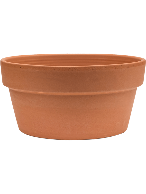 Кашпо Terra Cotta Bowl