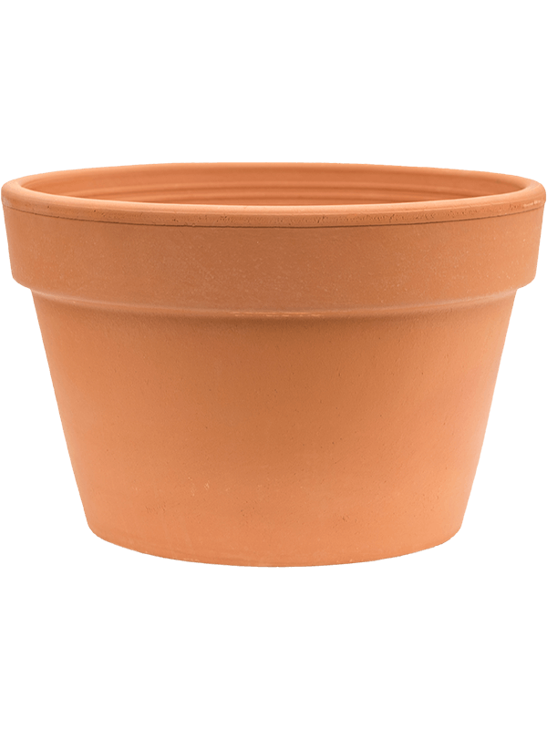 Кашпо Terra Cotta Flowerpot