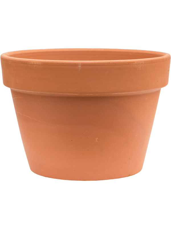 Кашпо Terra Cotta Flowerpot