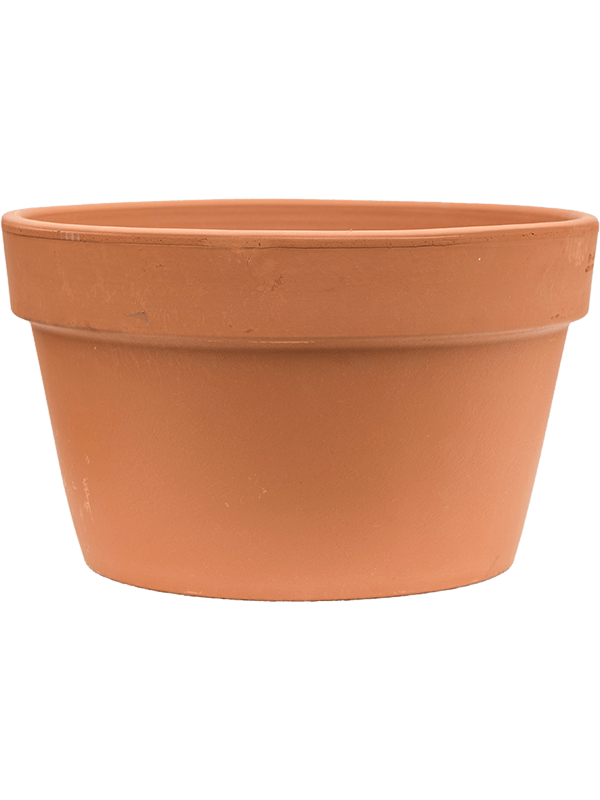 Кашпо Terra Cotta Flowerpot