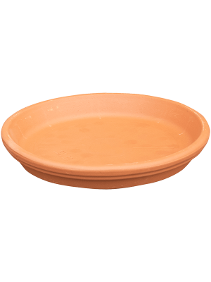 Поддон Terra Cotta Saucer