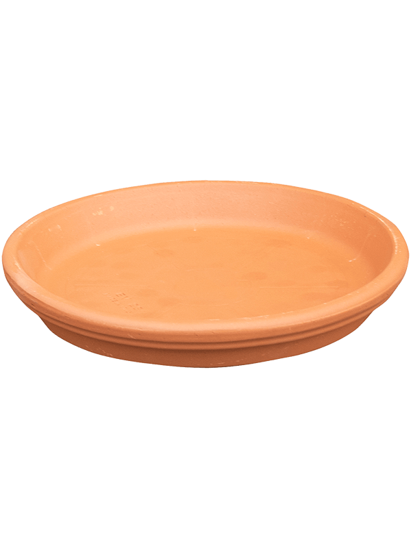 Поддон Terra Cotta Saucer