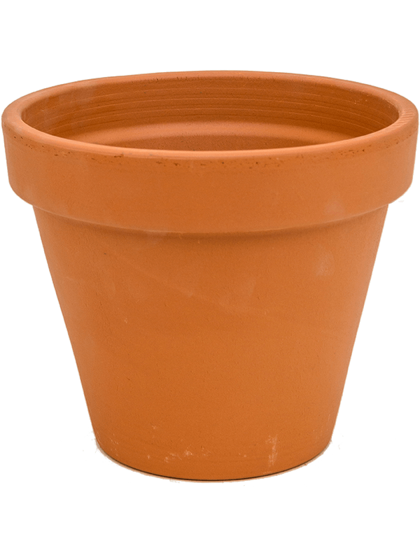 Кашпо Terra Cotta Flowerpot