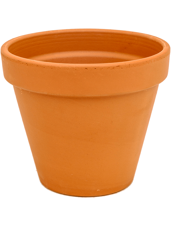 Кашпо Terra Cotta Flowerpot