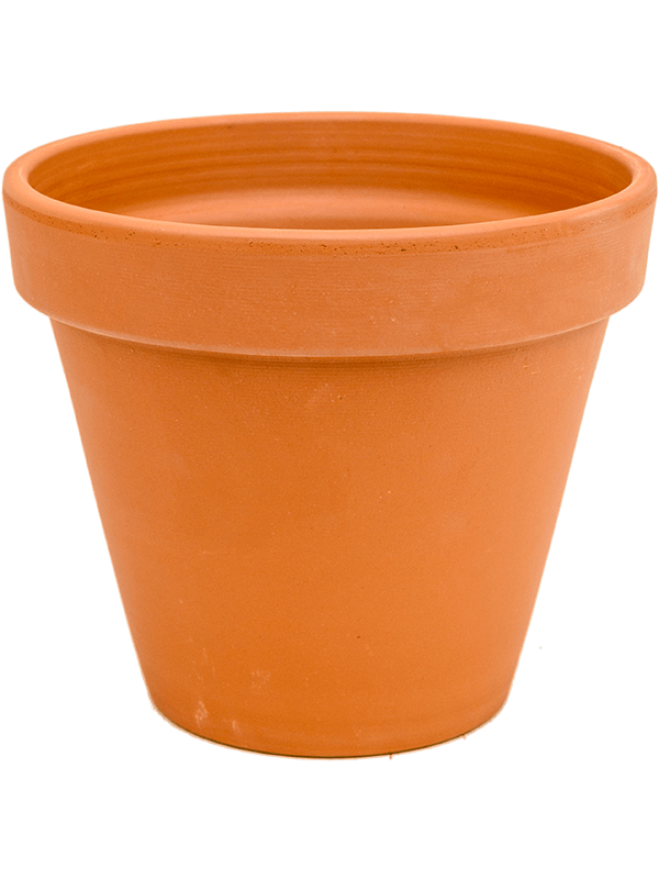 Кашпо Terra Cotta Flowerpot