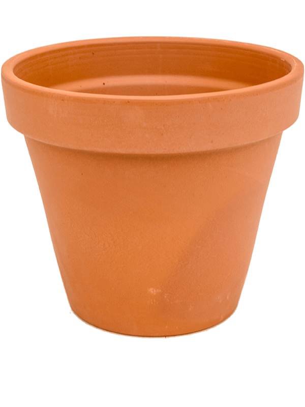 Кашпо Terra Cotta Flowerpot